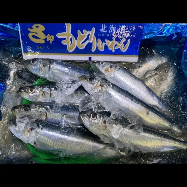 魚三九